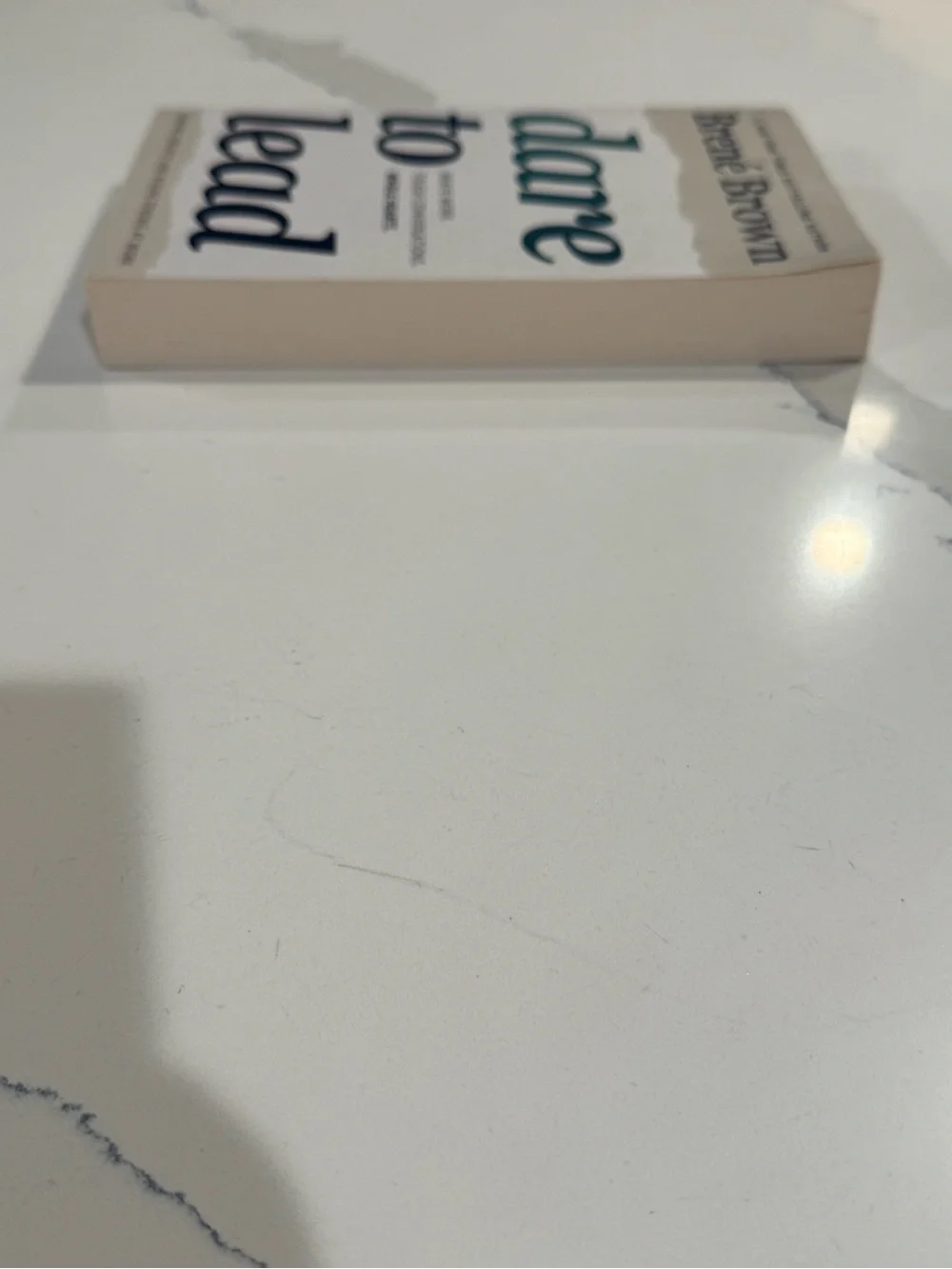 Dare to Lead — White and Navy Paperback